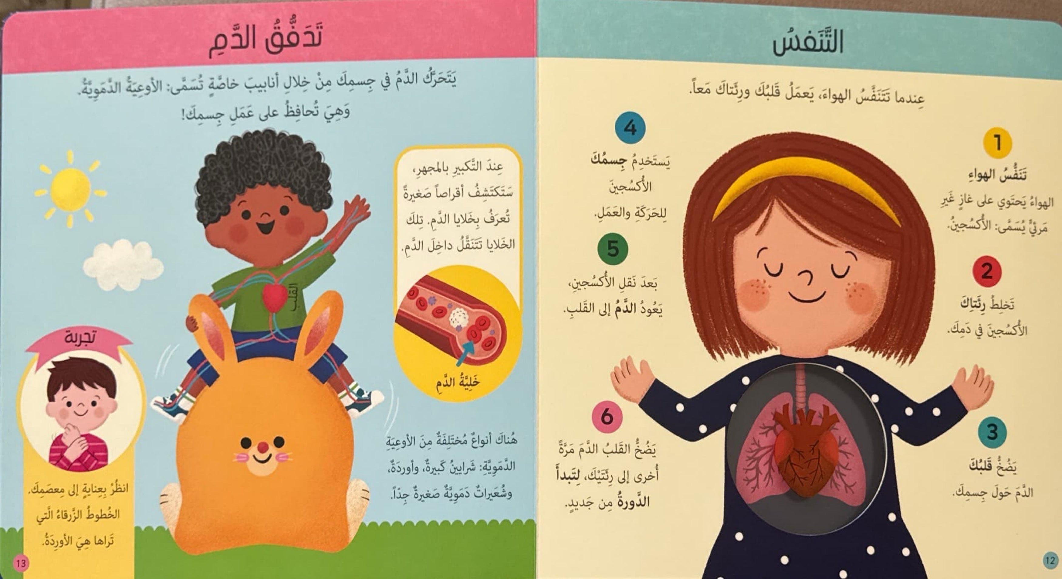 كتابي الأول : جسم الإنسان