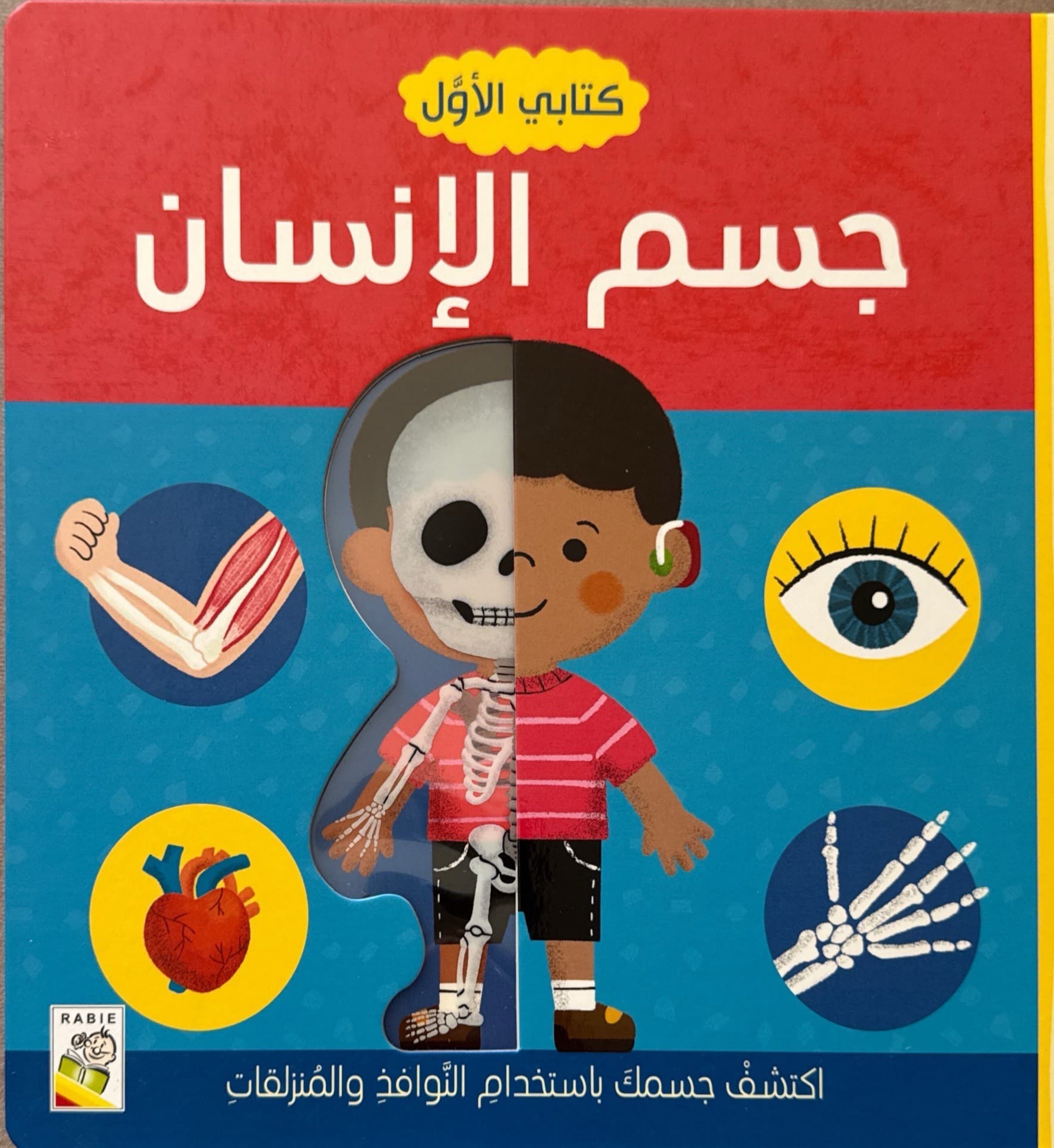 كتابي الأول : جسم الإنسان
