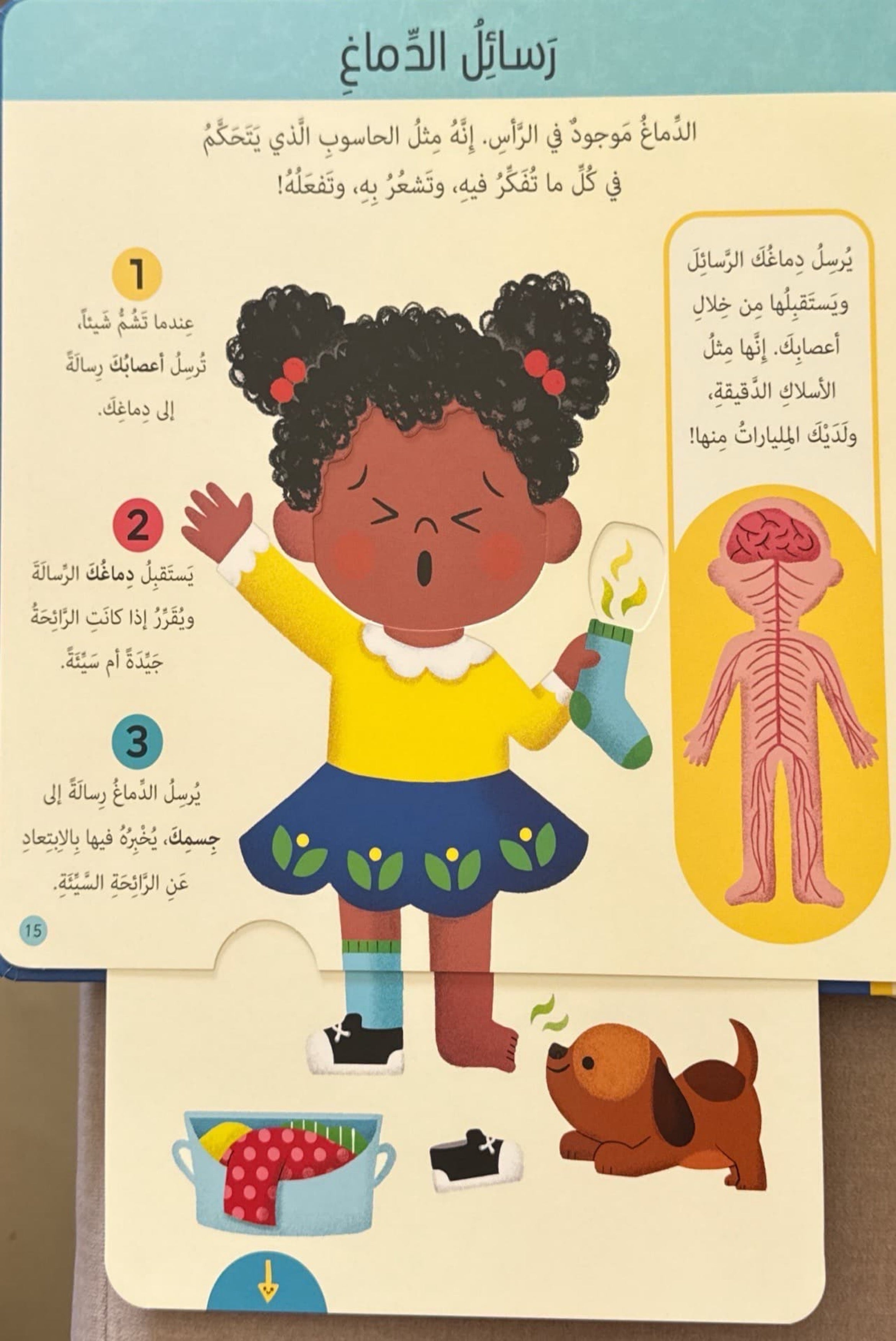 كتابي الأول : جسم الإنسان