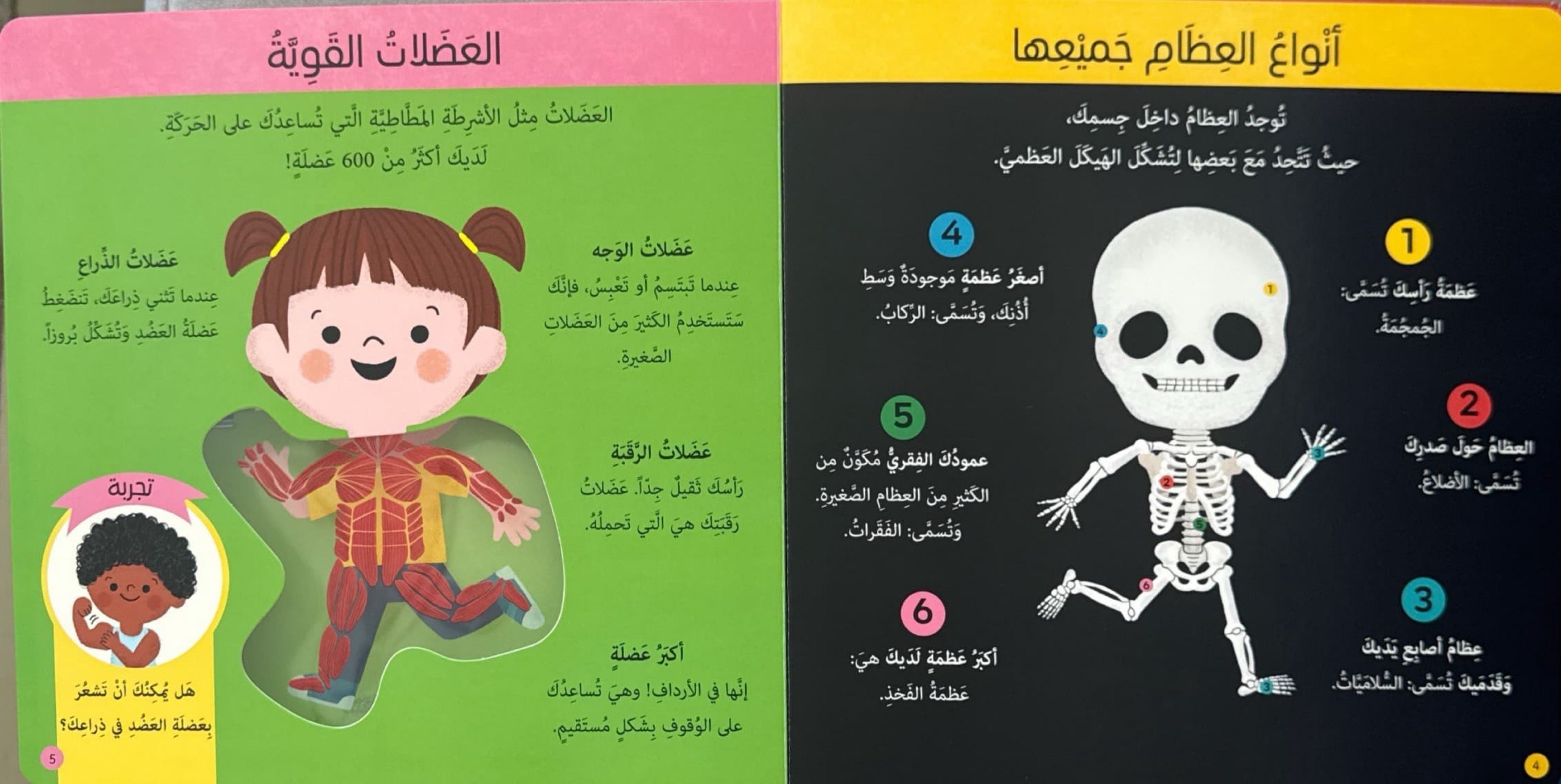 كتابي الأول : جسم الإنسان