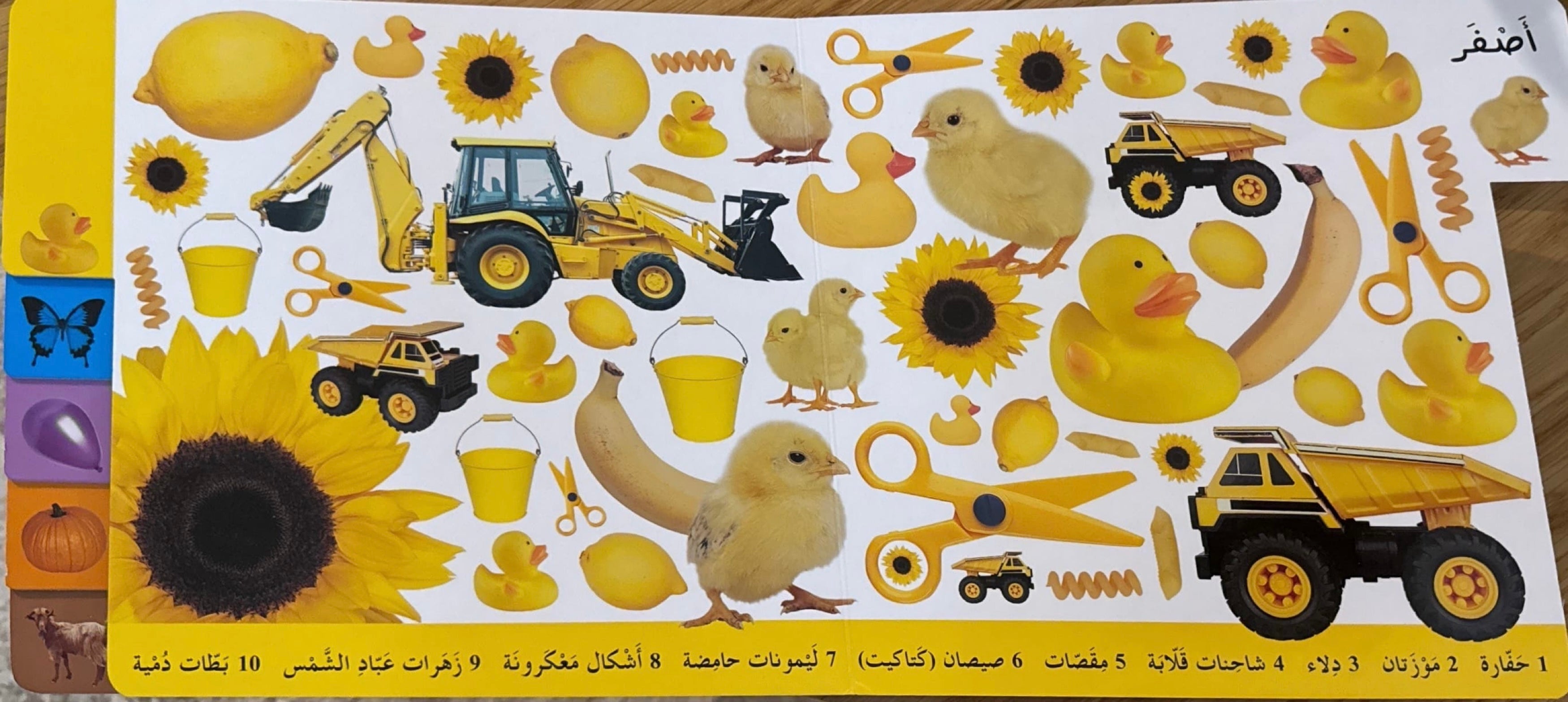 العد بالألوان