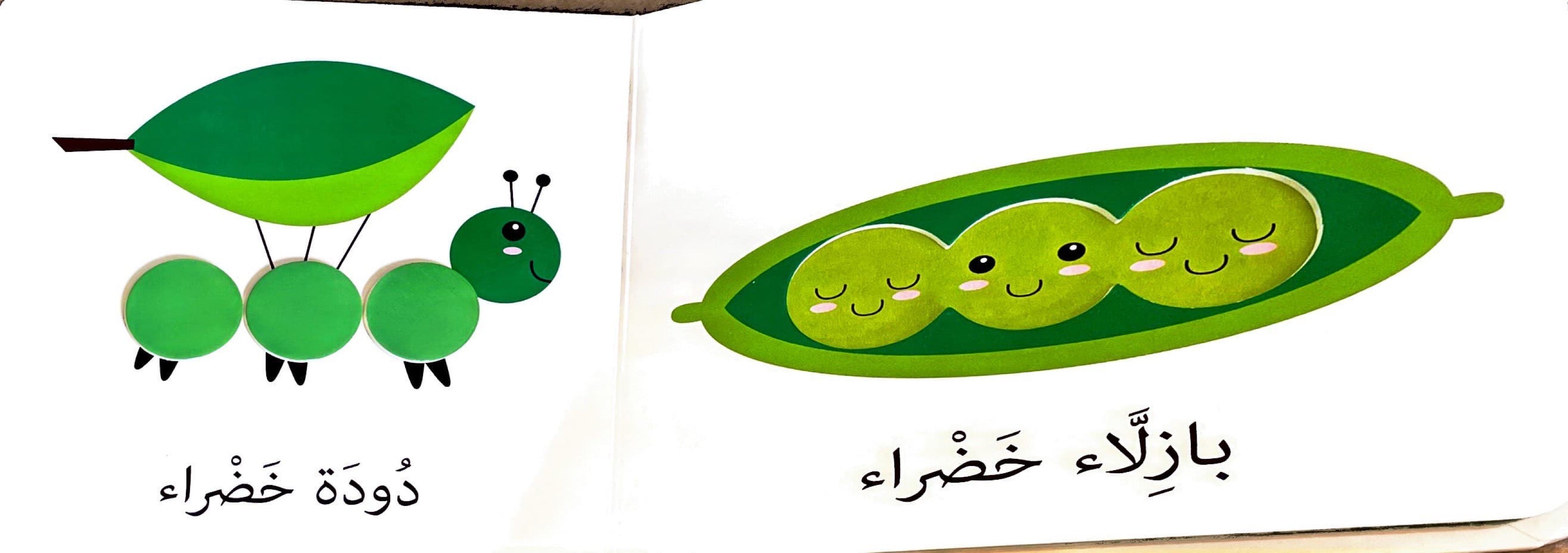 اكتشافات الصغار : الألوان