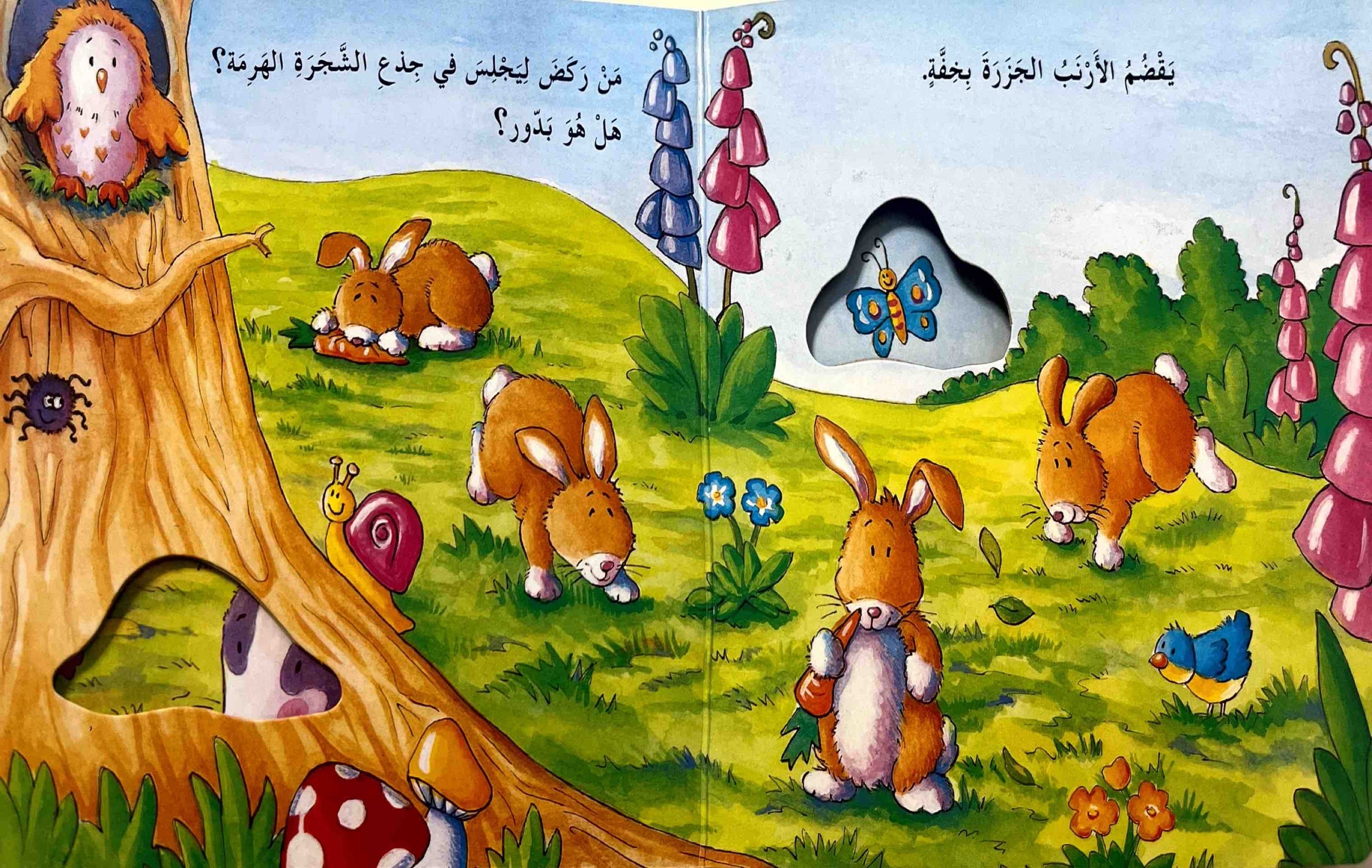 الغابة : من بالداخل؟