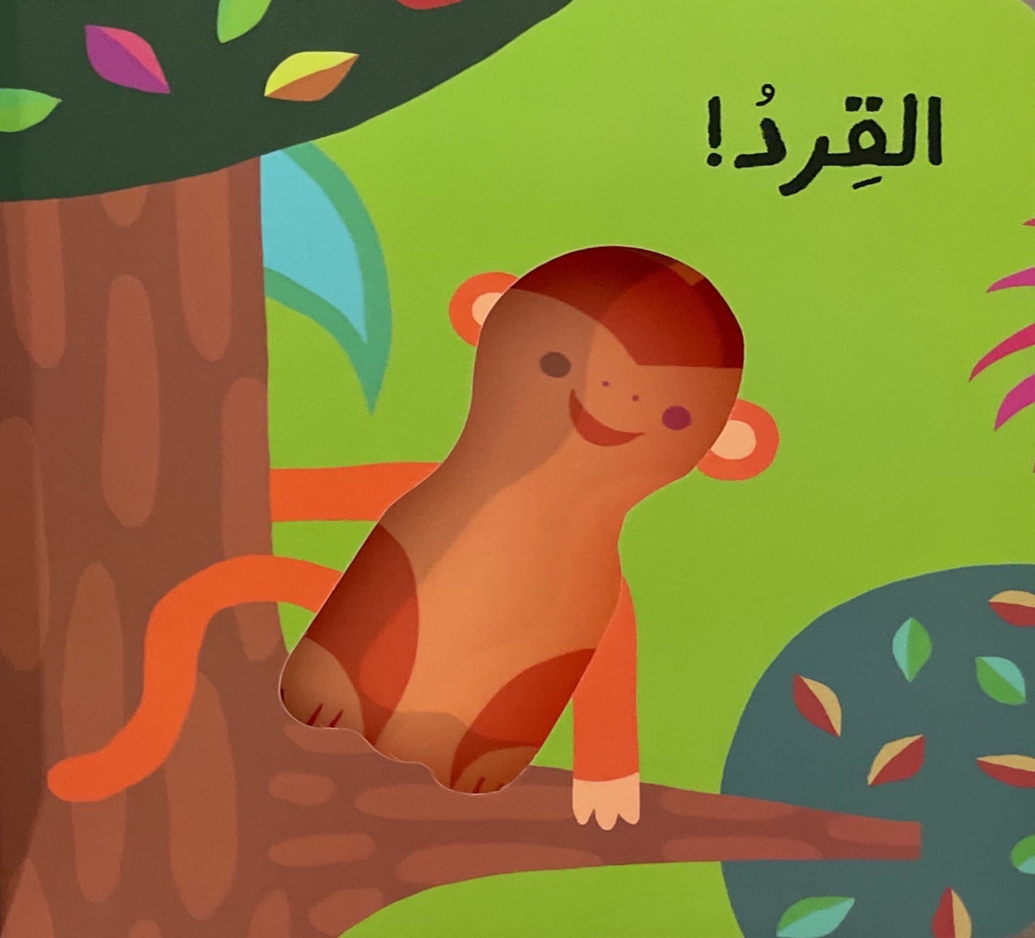 من يعيش في الغابة؟