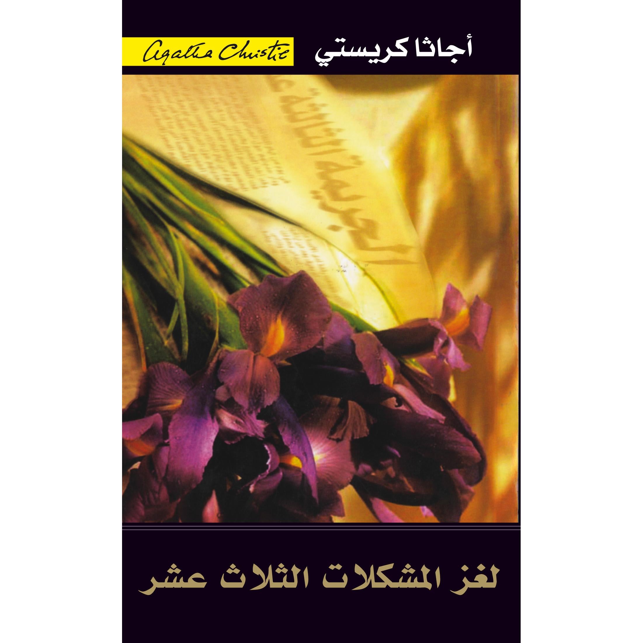 لغز المشكلات الثلاث عشرة