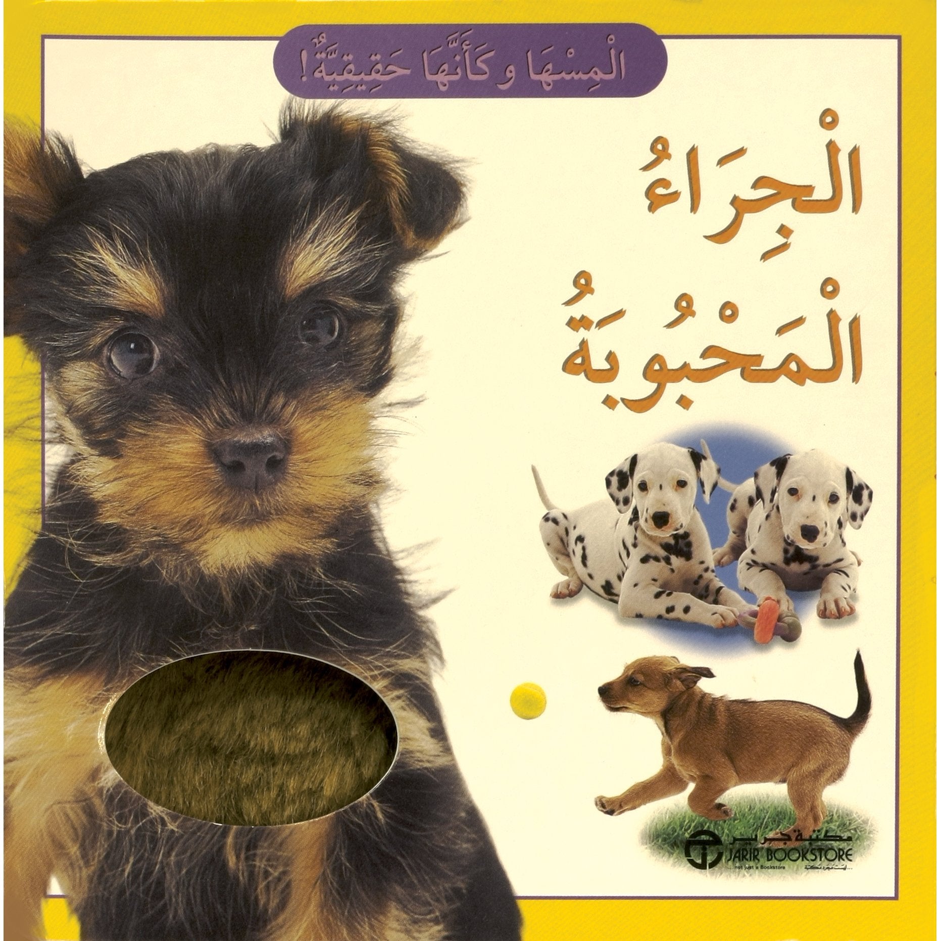 الجراء المحبوبة