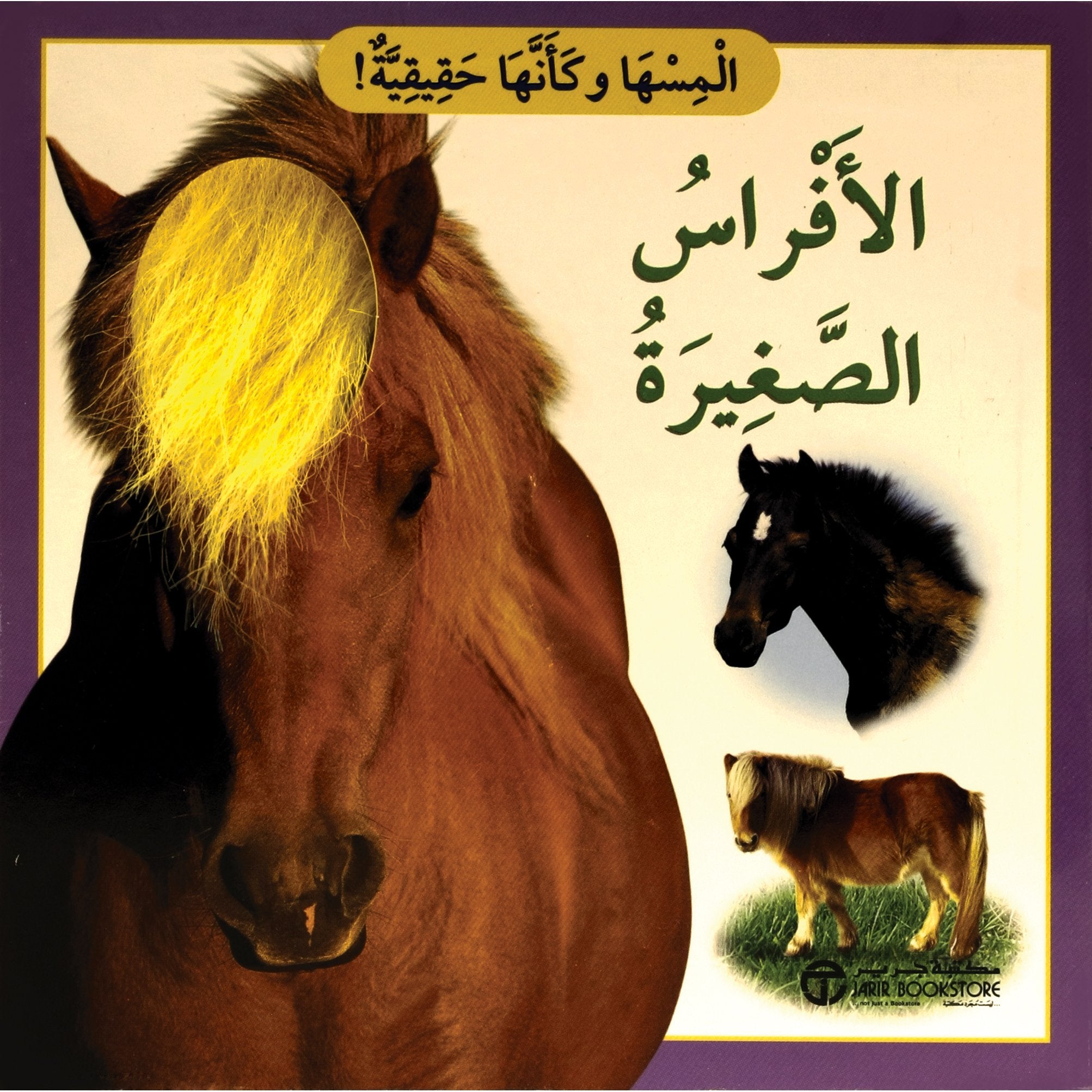 الافراس الصغيرة
