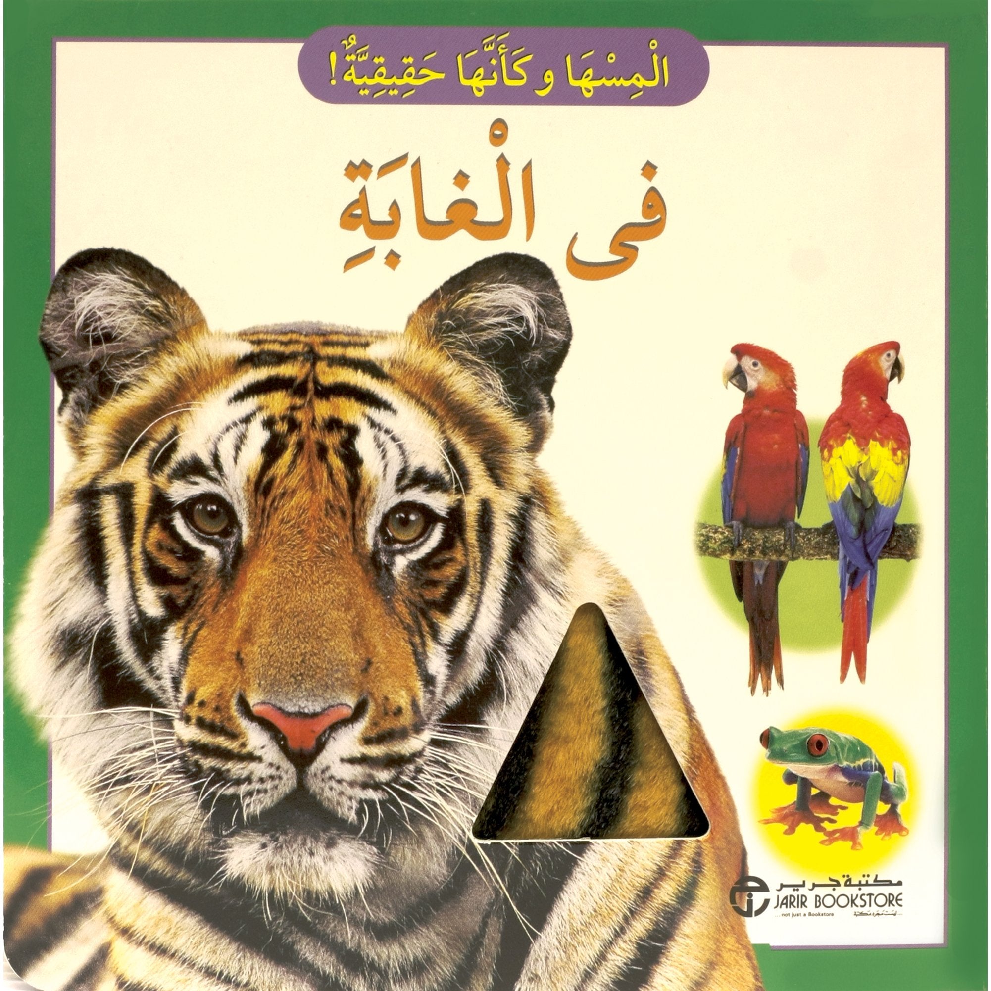 في الغابة