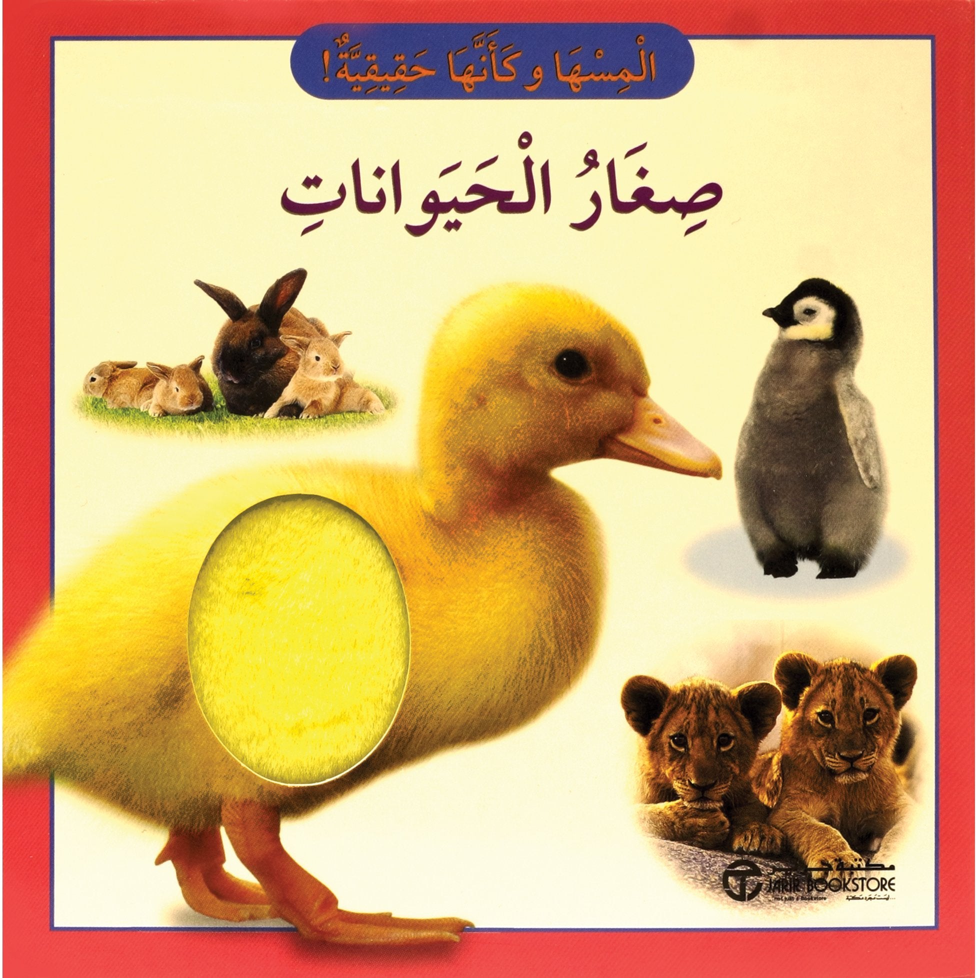 صغار الحيوانات