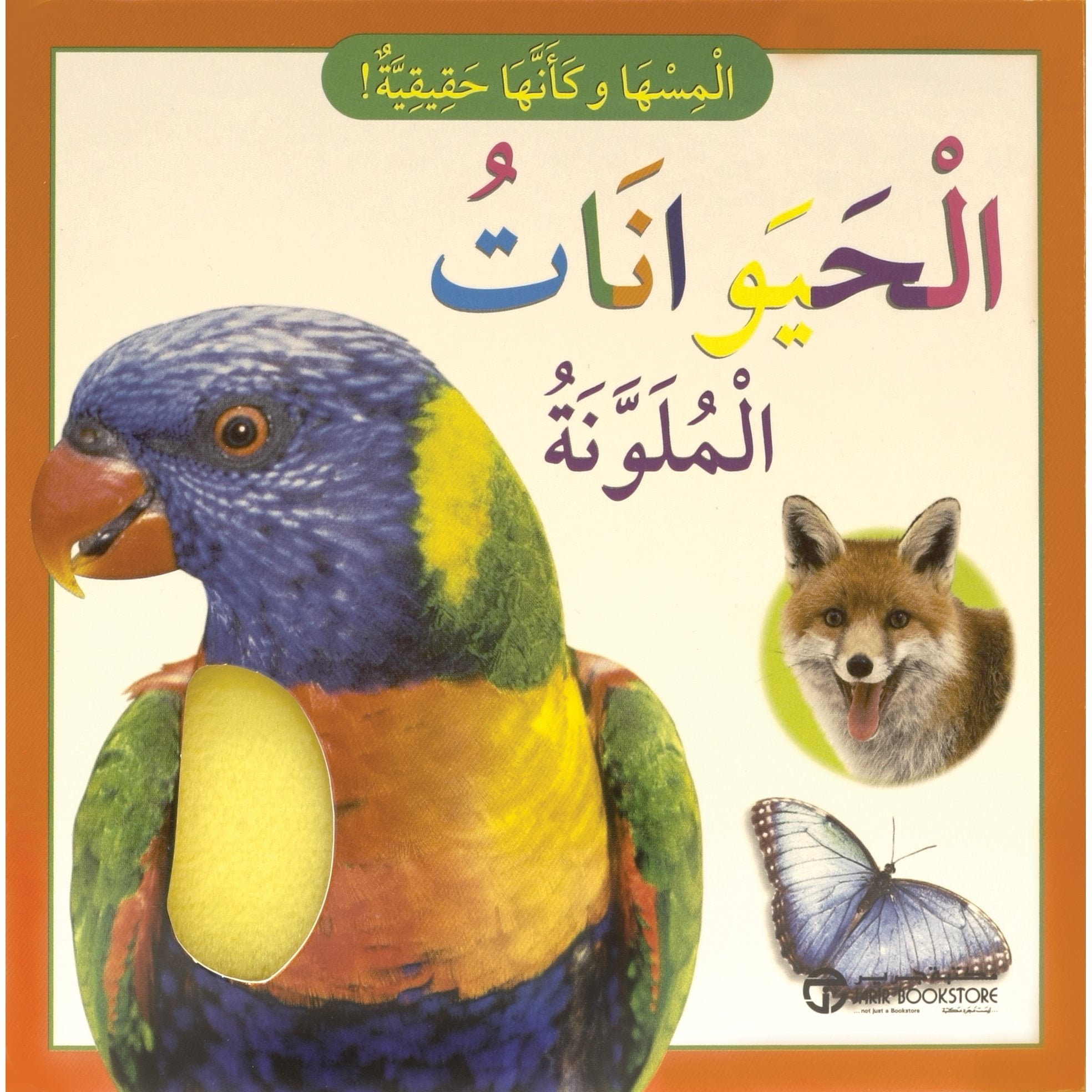 الحيوانات الملونة