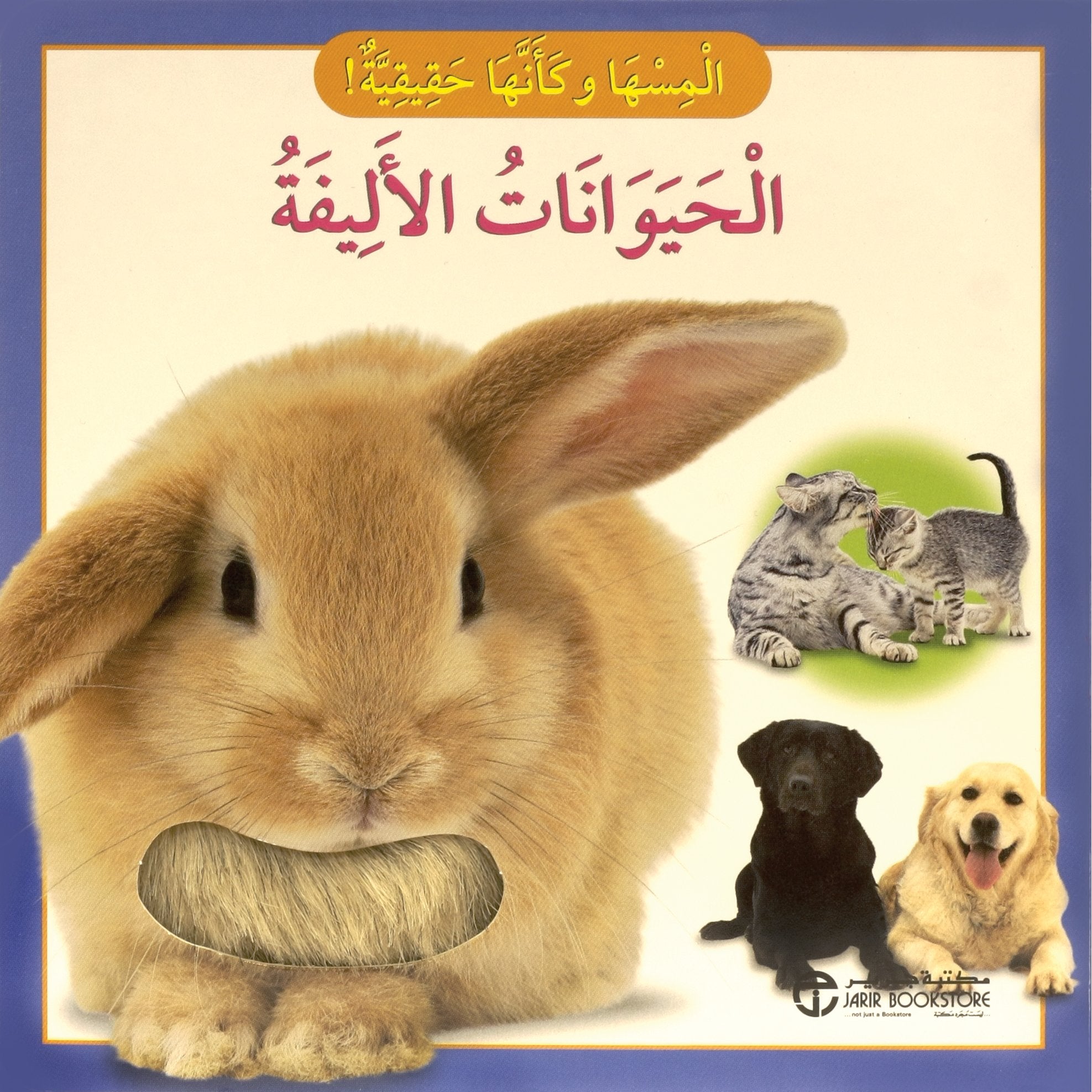 الحيوانات الاليفة