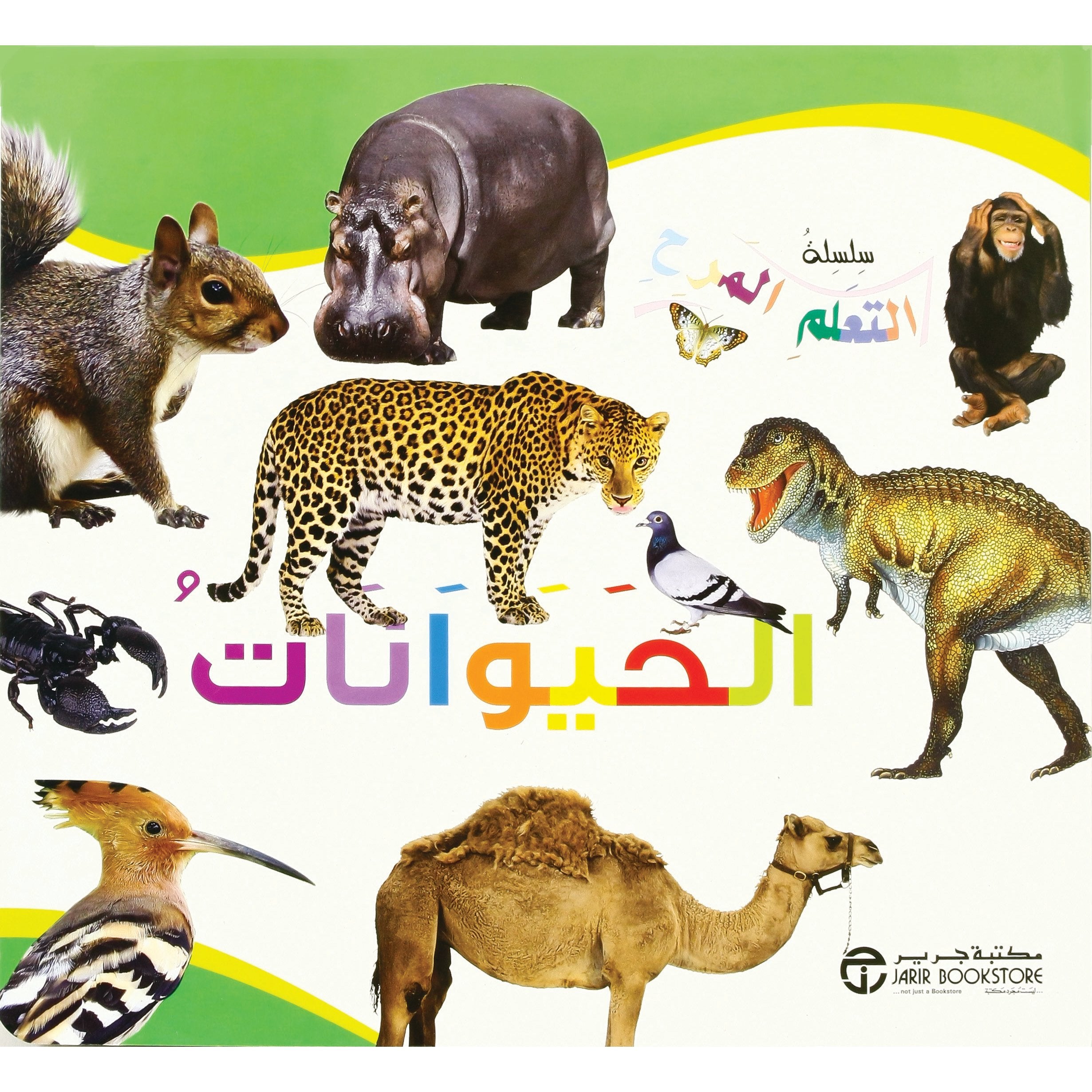 الحيوانات