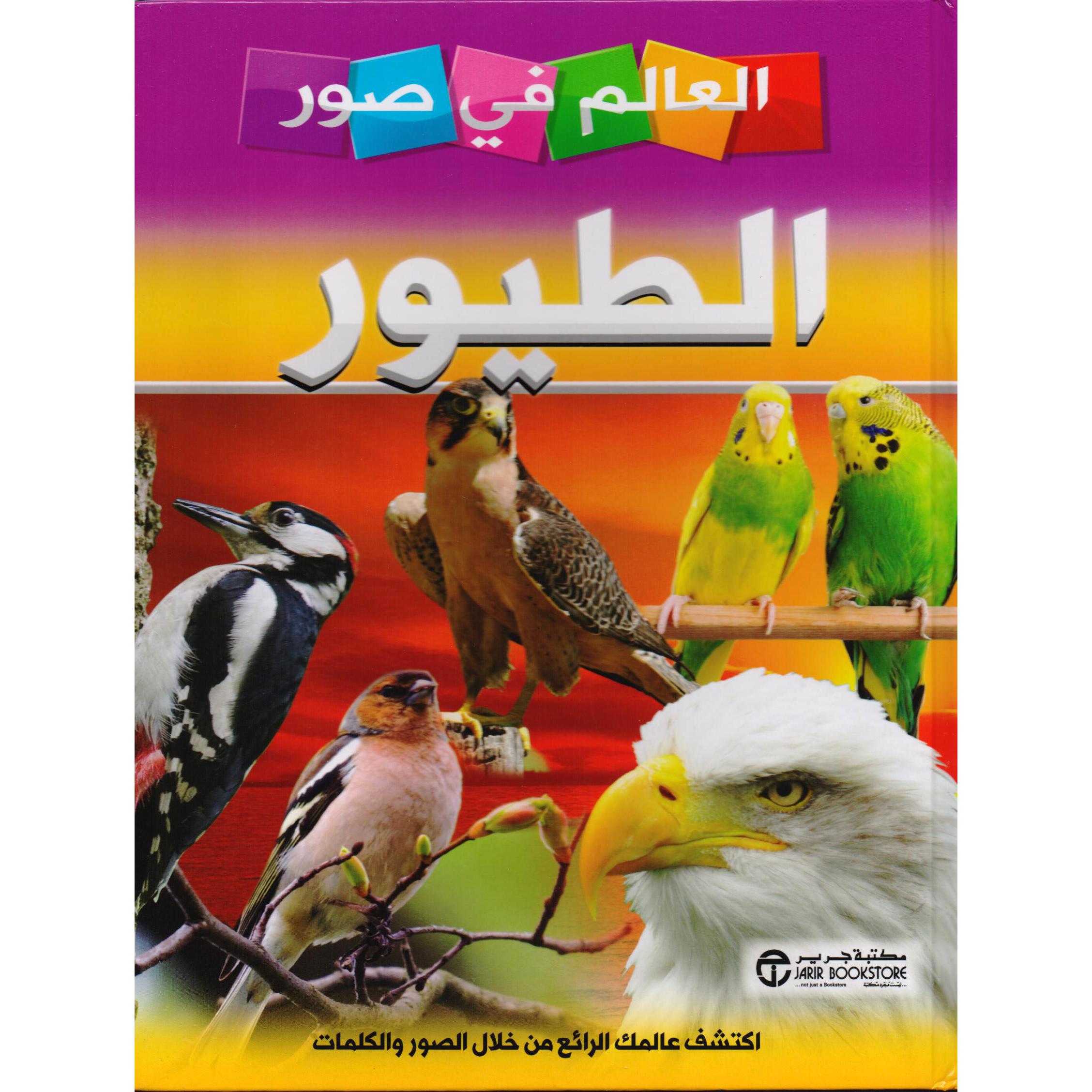 العالم في صور الطيور