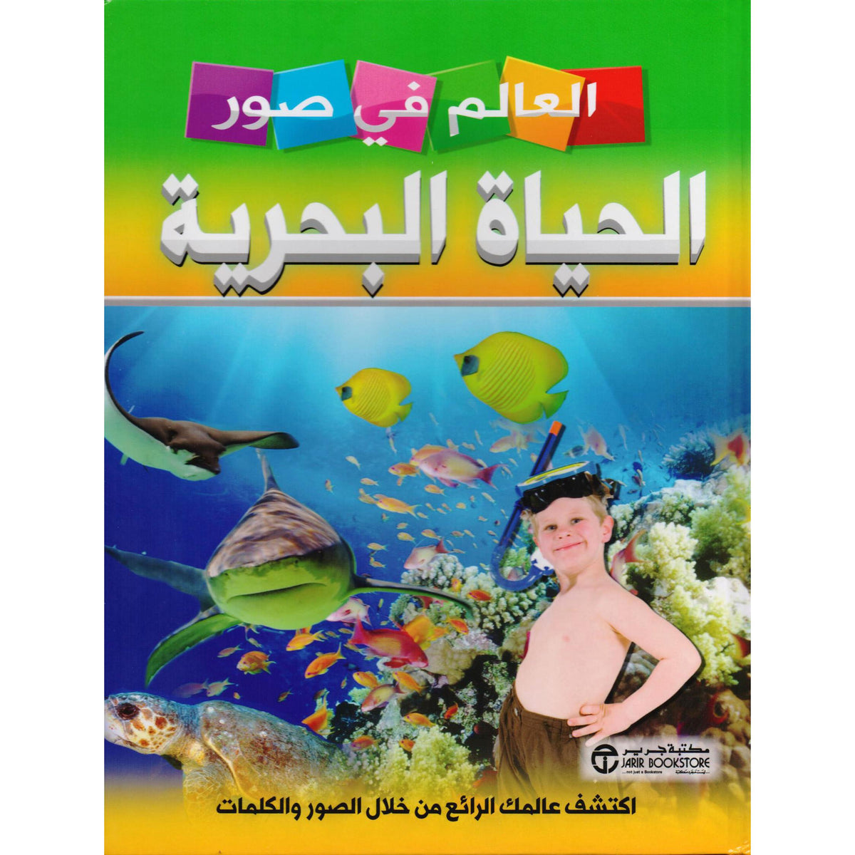 العالم في صور الحياة البحرية