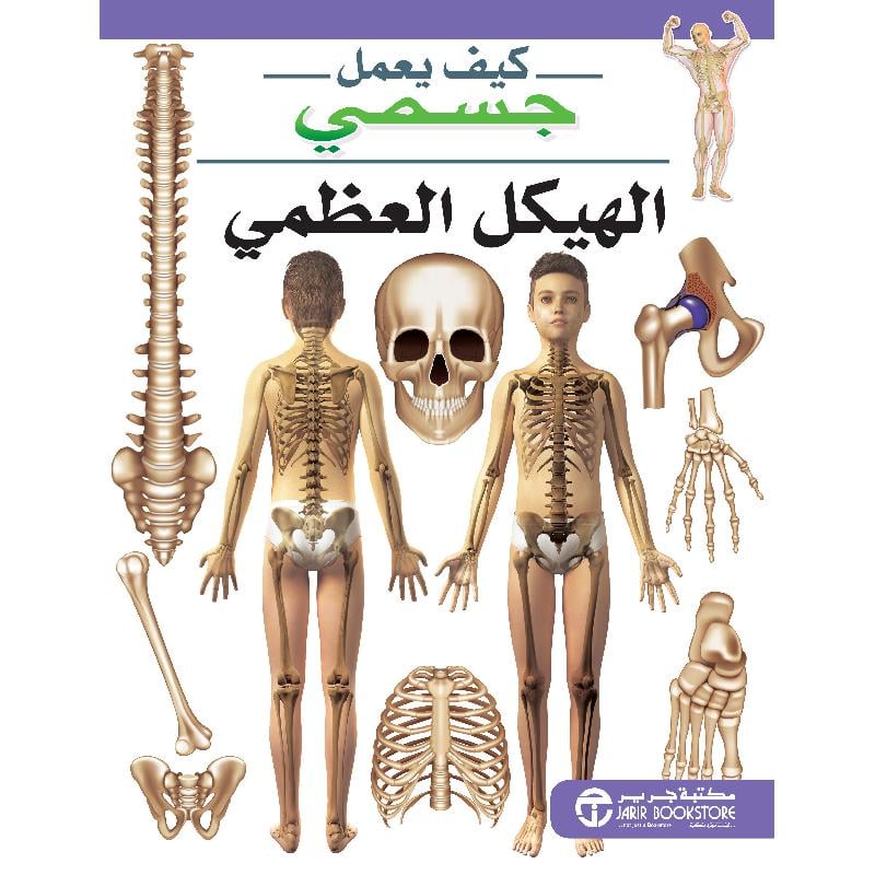 الهيكل العظمي سلسلة كيف يعمل جسمي