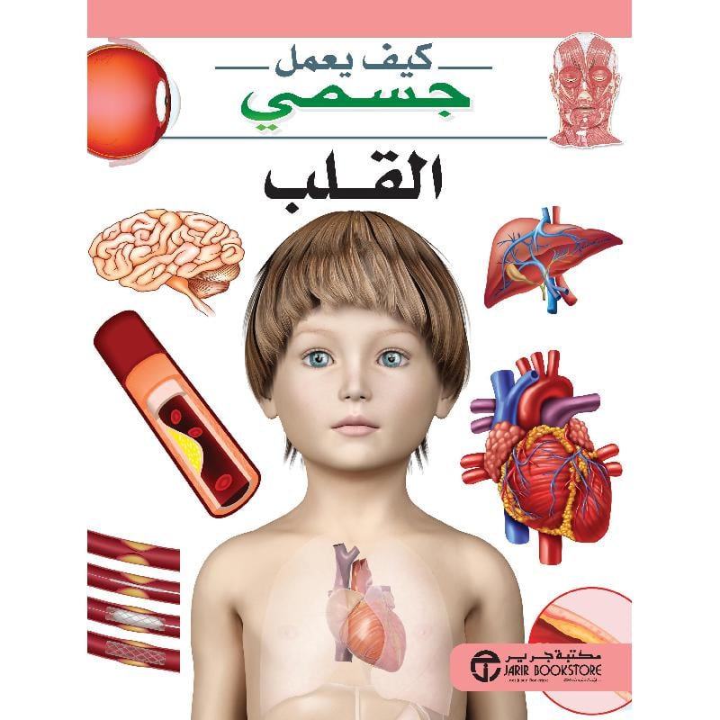 القلب سلسلة كيف يعمل جسمي