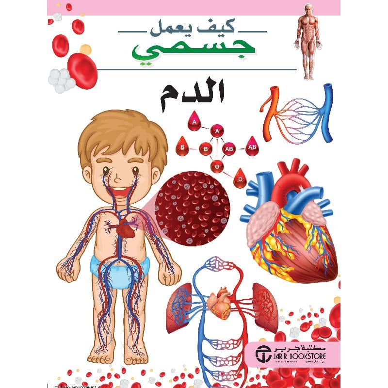 الدم سلسلة كيف يعمل جسمي