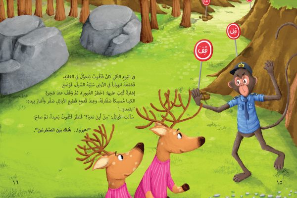 في مدرسة الغابة المطيرة