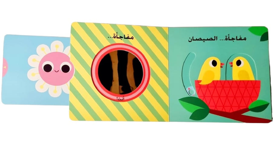 نظرة خاطفة ومفاجآت : الصوص