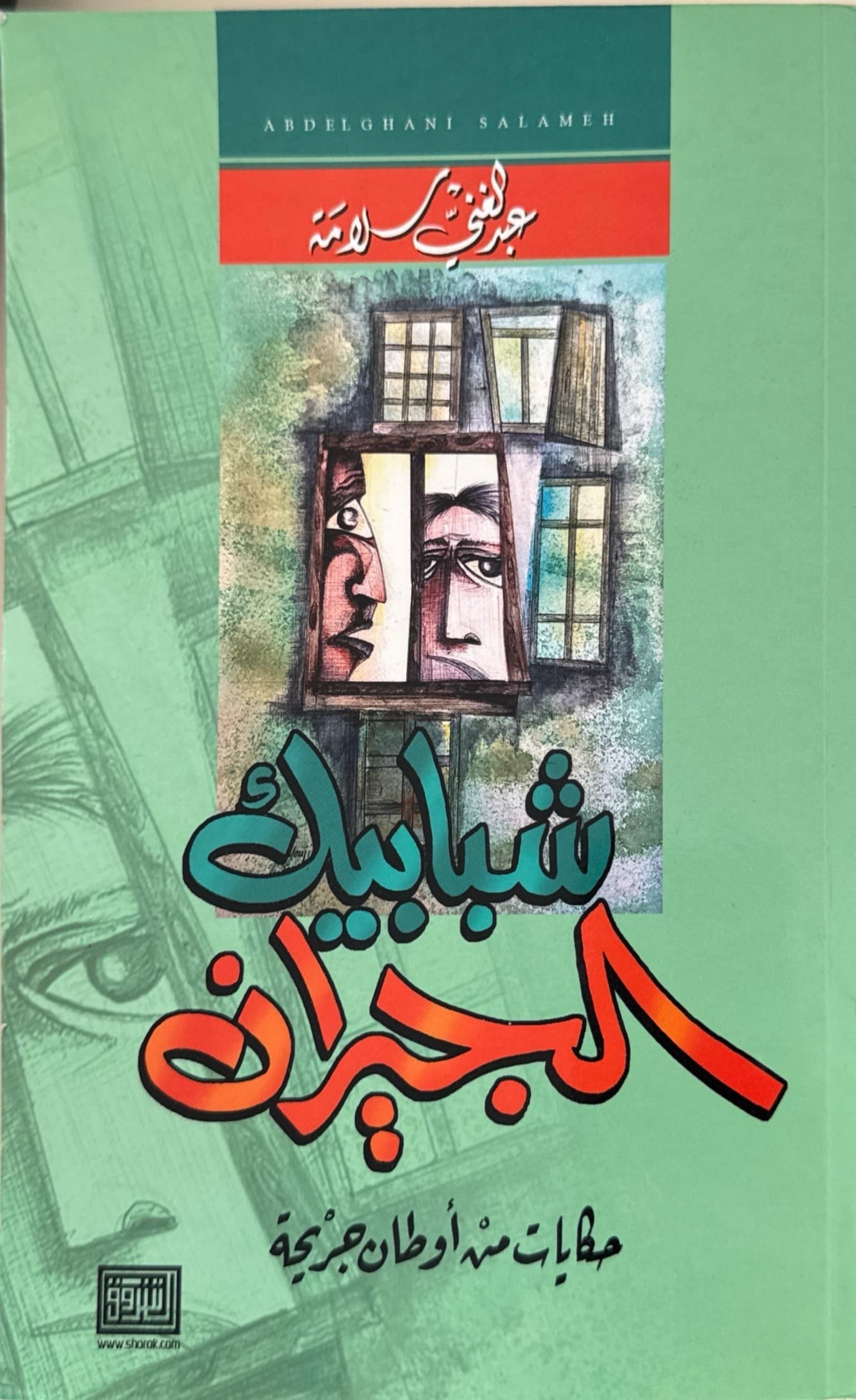 شبابيك الجيران : حكايات من أوطان جريحة