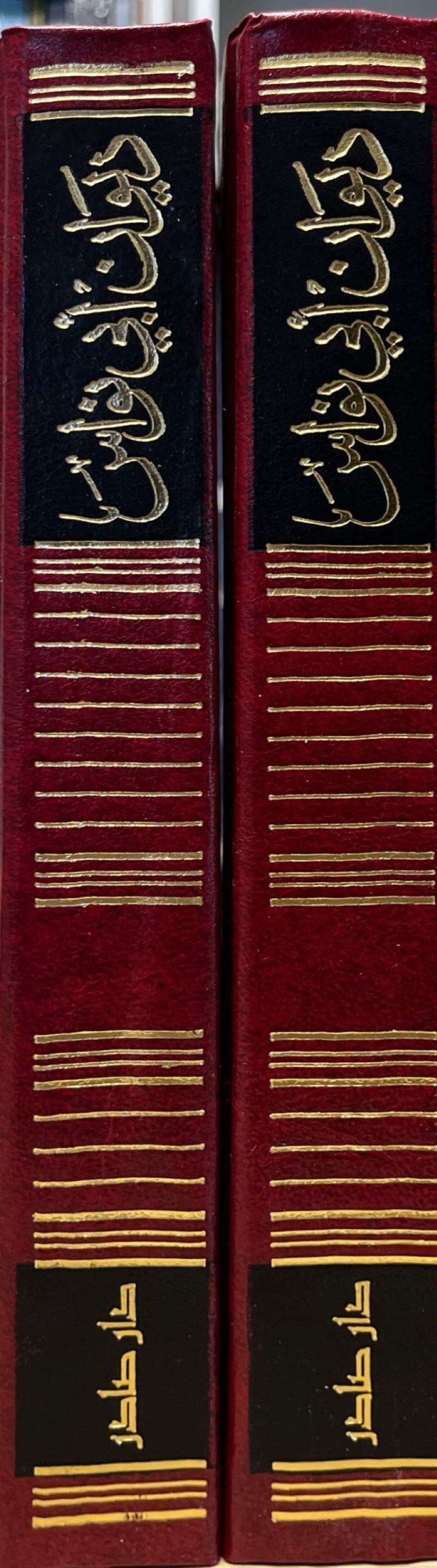 ديوان أبي نواس - مجلدين