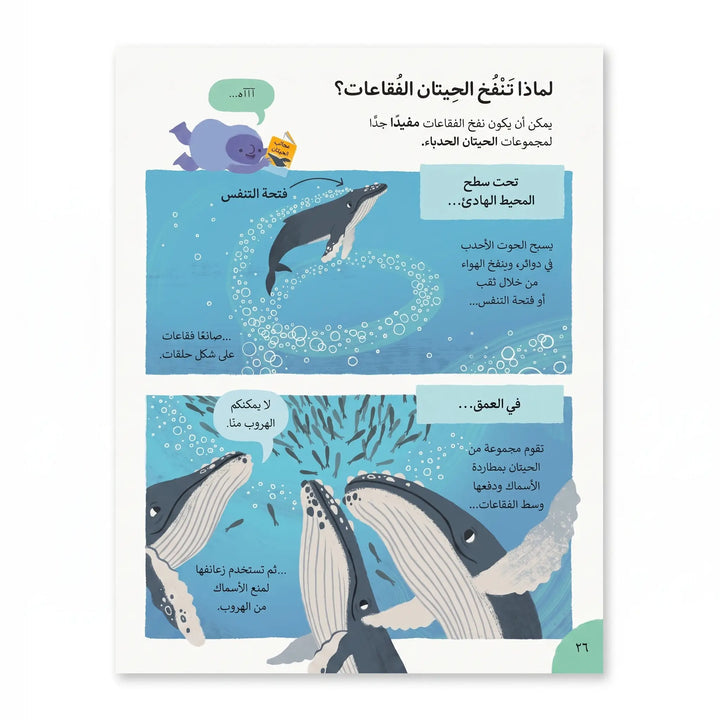 معلومات كثيرة جدا ومدهشة جدا جدا عن الحيوانات