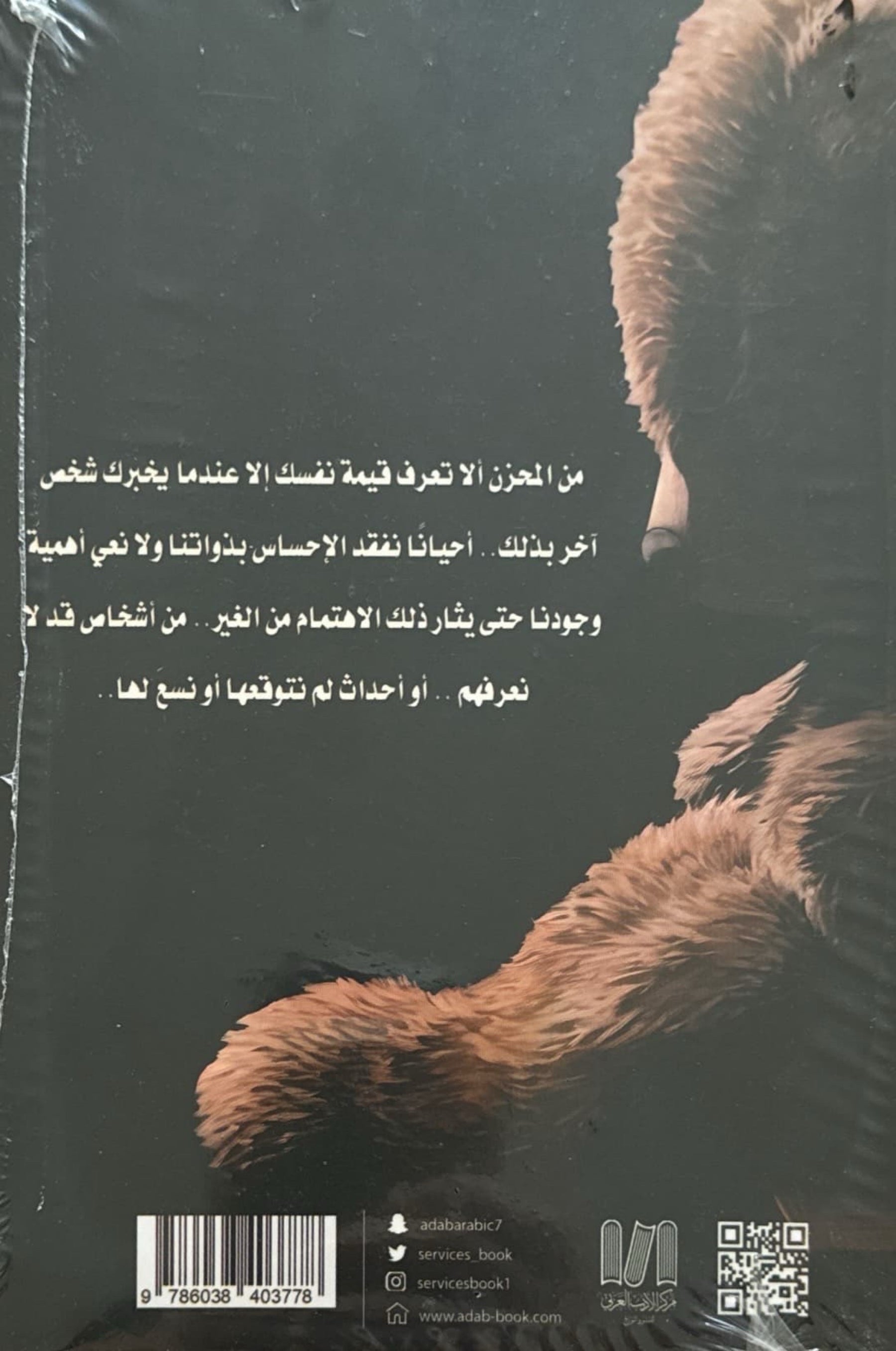 ليلة ماطرة