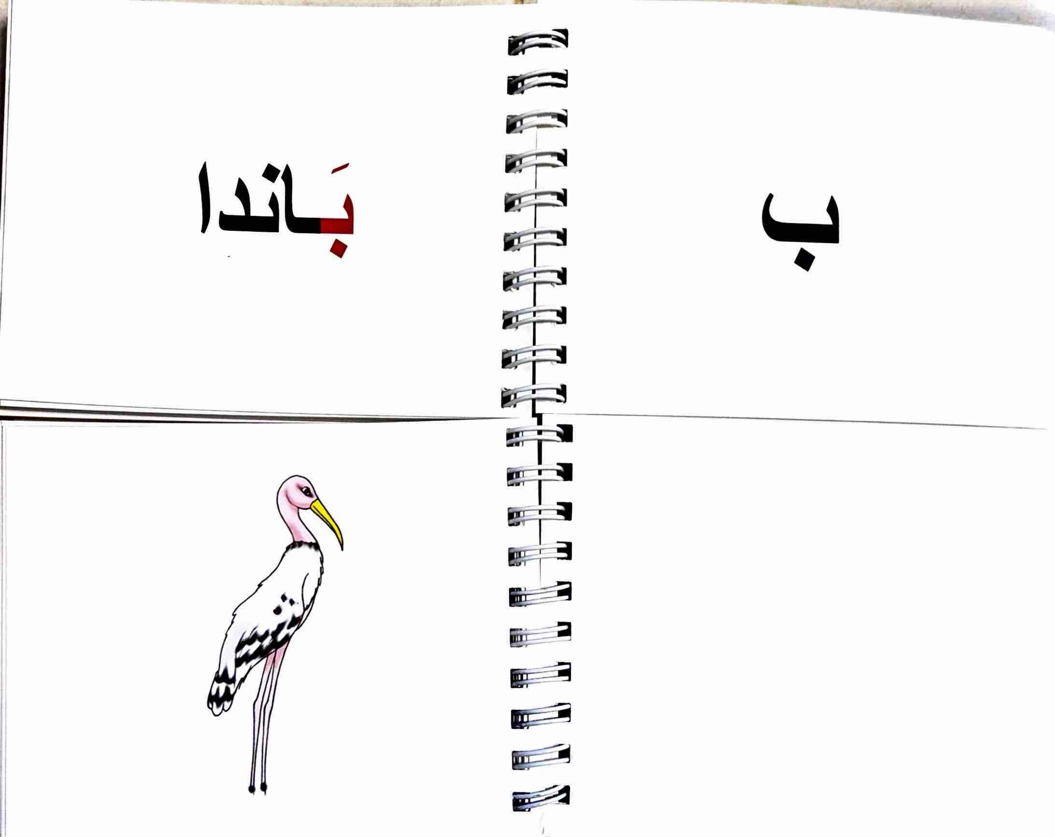 أ ب ت الحيوانات