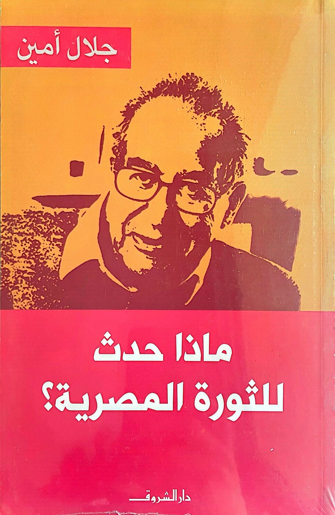 ماذا حدث للثورة المصرية؟